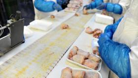 Бразилия приостановила экспорт мяса птицы на три крупных рынка